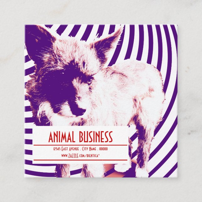 square pet appointment reminder card (Front)