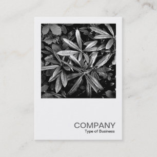 Square Photo 0132 - Rhododendron Leaves Business Card
