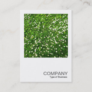 Square Photo 0136 - Daisy Lawn Business Card