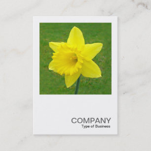 Square Photo 015 - Daffodil Business Card