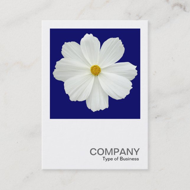 Square Photo 0166 - Cosmos Flower on Dark Blue Business Card (Front)