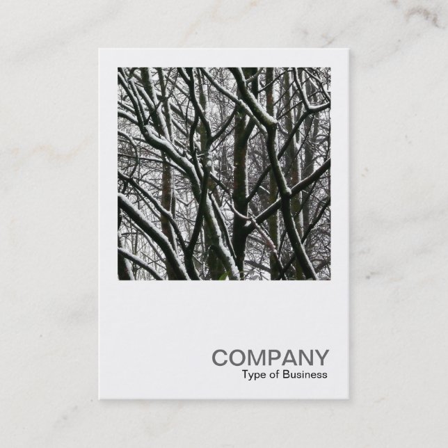 Square Photo 0176 - Branches with Snow Business Card (Front)