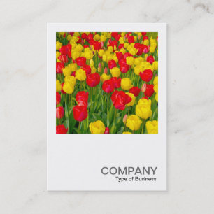 Square Photo 0220 - Tulips Business Card