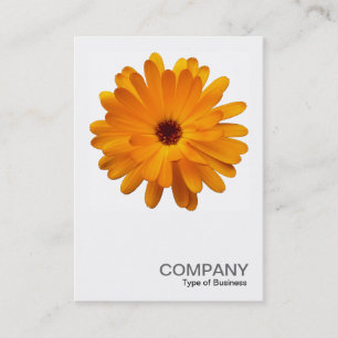 Square Photo 0233 - Orange Marigold Business Card