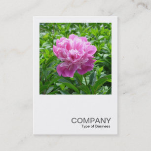 Square Photo 0234 - Pink Peony Business Card