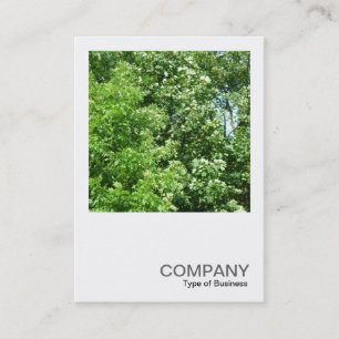 Square Photo 0237 - Summer Breeze Business Card