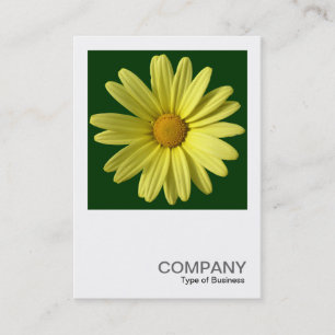 Square Photo 0249 - Yellow Daisy Business Card