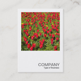 Square Photo 02 - Tulips Business Card