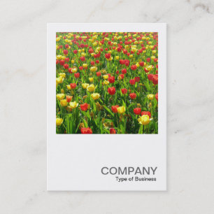 Square Photo 0318 - Sea of Tulips II Business Card