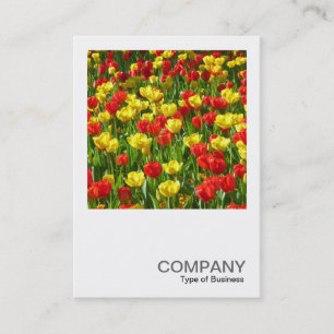Square Photo 0320 - Sea of Tulips III Business Card
