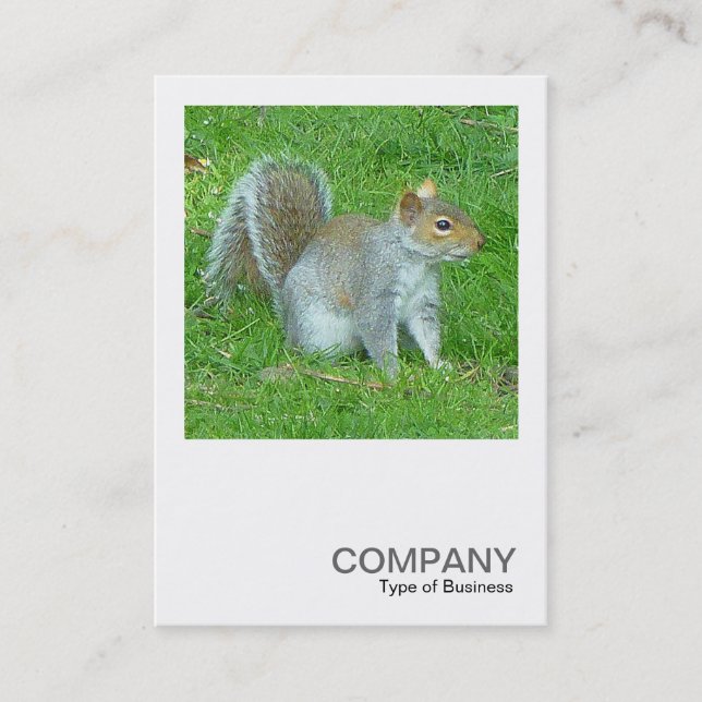 Square Photo 0325 - Squirrel Business Card (Front)