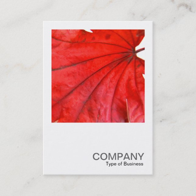 Square Photo 0352 - Japanese Maple Leaf Business Card (Front)