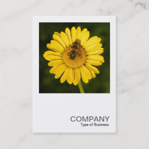 Square Photo 0374 - Yellow Daisy and Bee Business Card
