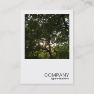 Square Photo 0375 - Japanese Branches Business Card