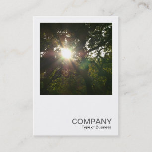 Square Photo 0377 - Japanese Branches Business Card
