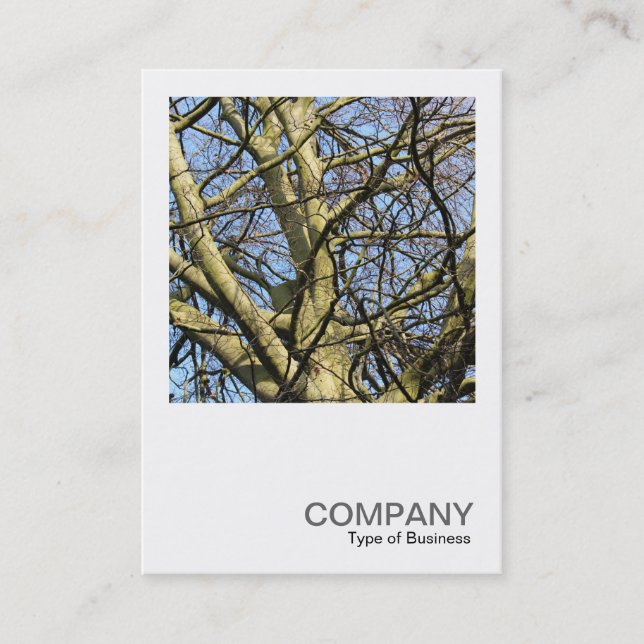 Square Photo 0386 - Branches Business Card (Front)