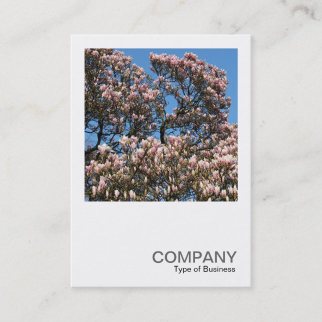 Square Photo 0391 - Magnolia Trees in Blossom Business Card (Front)