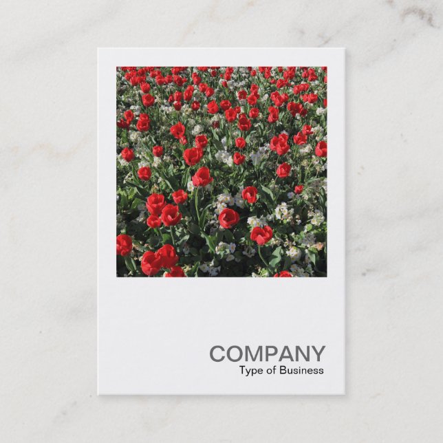 Square Photo 0399 - Red Tulips and Primroses Business Card (Front)