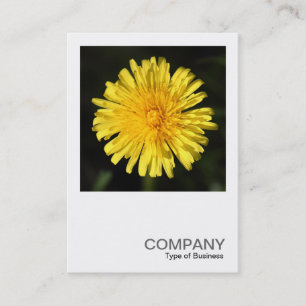 Square Photo 0400 - Dandelion Business Card