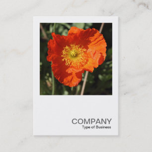 Square Photo 0405 - Welsh Poppy (Orange) Business Card