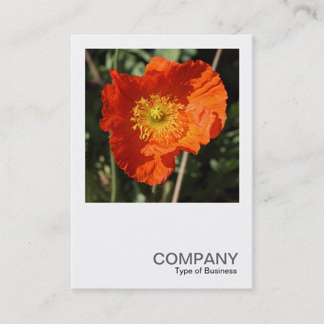 Square Photo 0405 - Welsh Poppy (Orange) Business Card (Front)