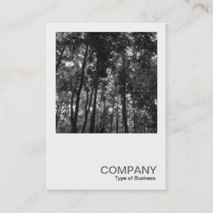 Square Photo 0410 - Woodland Canopy 02 BW Business Card