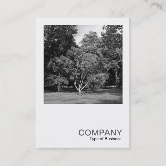 Square Photo 0413 - Trees, Bute Park, Cardiff Business Card (Front)