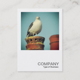 Square Photo 0427 - Favourite Perch Business Card