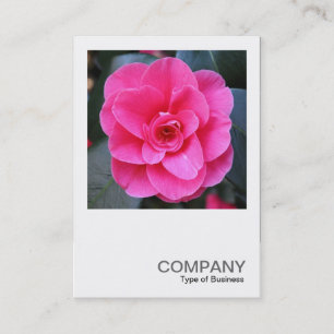 Square Photo 0429 - Pink Camellia Business Card