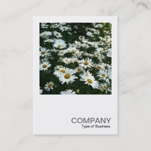 Square Photo 042 - Daisies Business Card