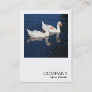 Square Photo 0474 - Emden Geese Business Card