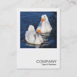 Square Photo 0478 - Two Emden Geese Business Card