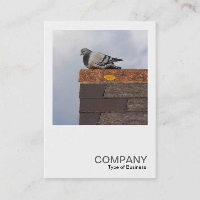 Square Photo 0499 - Good Morning Pigeon Business Card (Front)