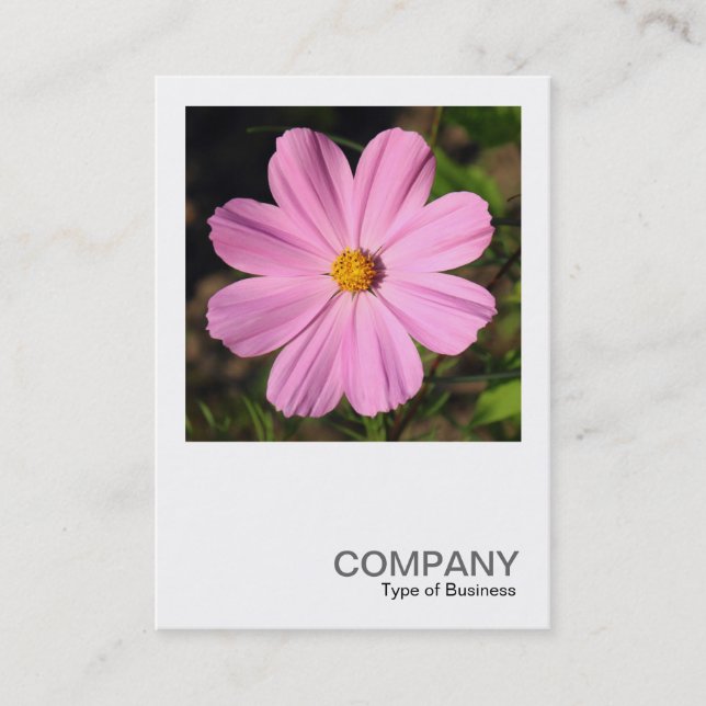 Square Photo 0505 - Pink Cosmos Business Card (Front)