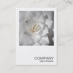 Square Photo 0512 - White Camellia Business Card