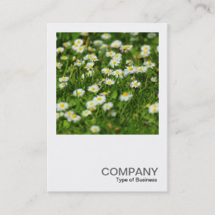 Square Photo 0513 - Daisy Meadow Business Card