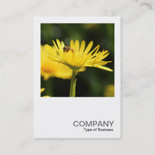 Square Photo 0543 - Busy Bee Business Card