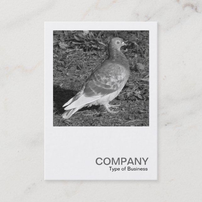 Square Photo 0550 - Pigeon BW Business Card (Front)