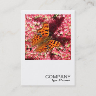 Square Photo 0553 - Comma Butterfly on Sedum Business Card