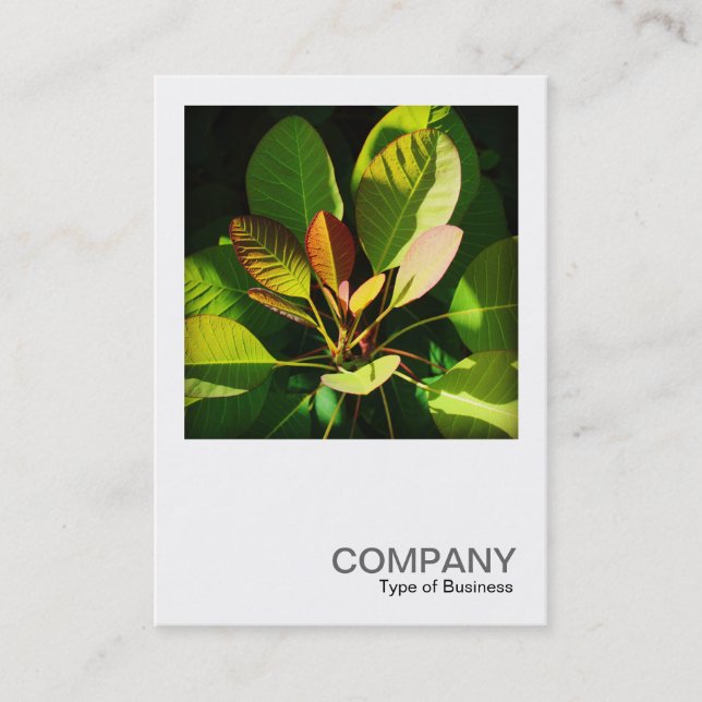 Square Photo 0561 - Colourful Sunlit Leaves Business Card (Front)