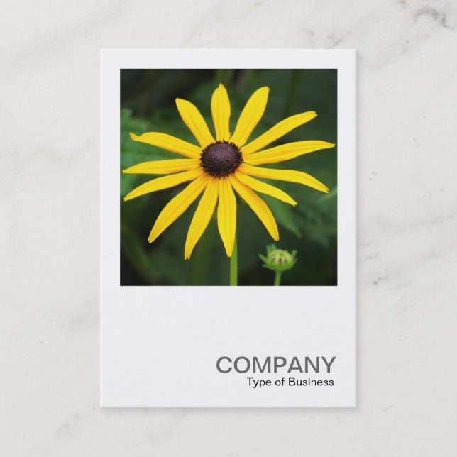 Square Photo 0587 - Rudbeckia hirta Business Card (Front)