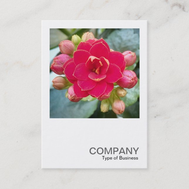 Square Photo 0595 - Kalanchoe Business Card (Front)