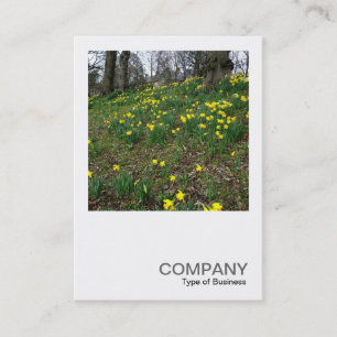 Square Photo 083 - Daffodils in the Park Business Card