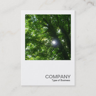 Square Photo 093 - Sun in the Trees Business Card
