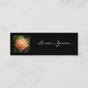 Square Photo - African Daisy Mini Business Card