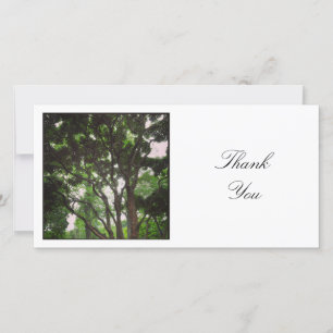 Square Photo - Branches Thank You Card