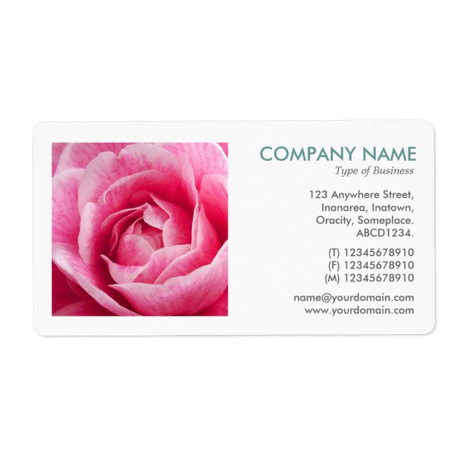 Square Photo - Camelia (Front)