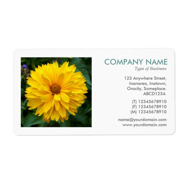 Square Photo - Chrysanthemum (Front)