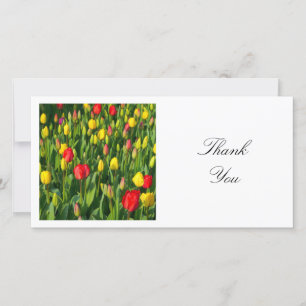 Square Photo - Colourful Tulips Thank You Card