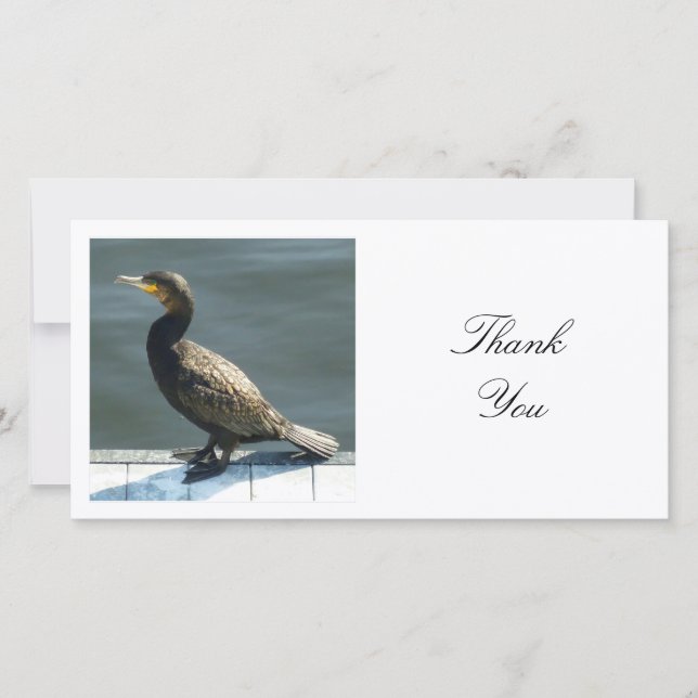 Square Photo - Cormorant Thank You Card (Front)